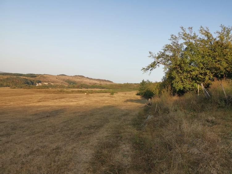 Casă cu 2 camere în Central