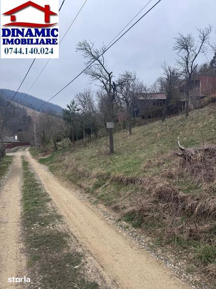 Teren de 6000 mp, în Alexandru cel Bun
