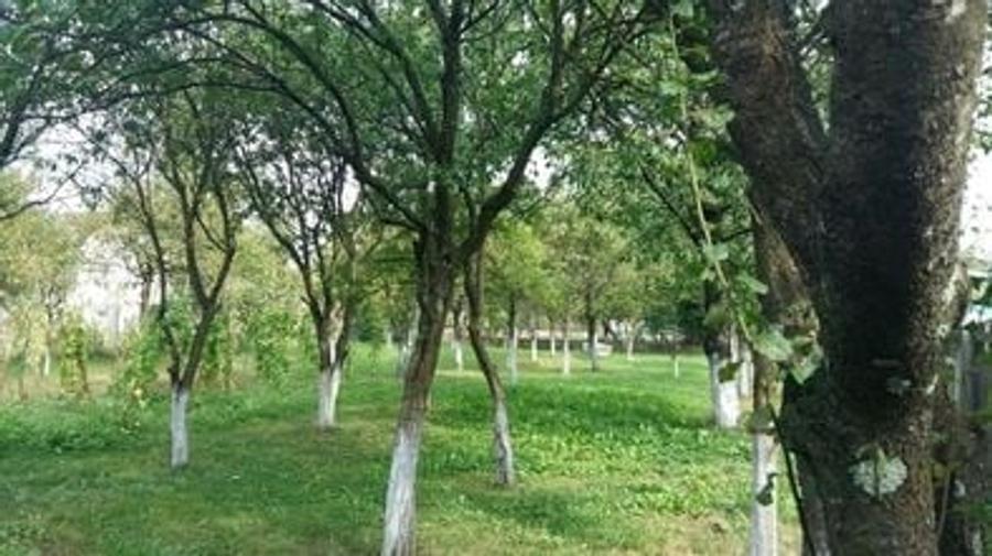 Casă cu 4 camere în Ocna Șugatag