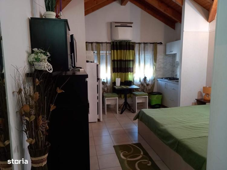 studio Complex Elisbetinin, Judetean 350 EUR/luna - 4