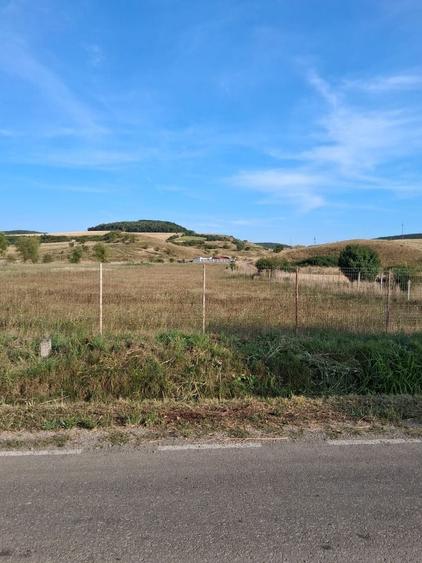 Teren de 2000 mp, în Petelea