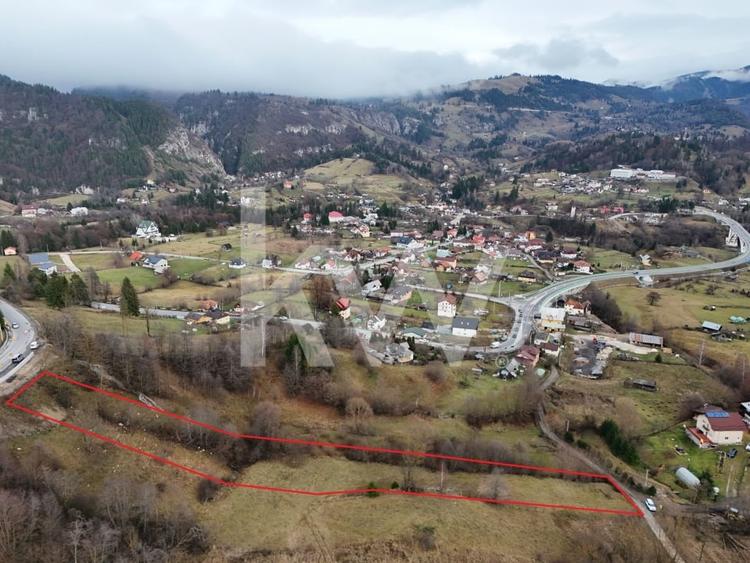 Teren Construcții intravilan de 3726 mp, în Dâmbovicioara