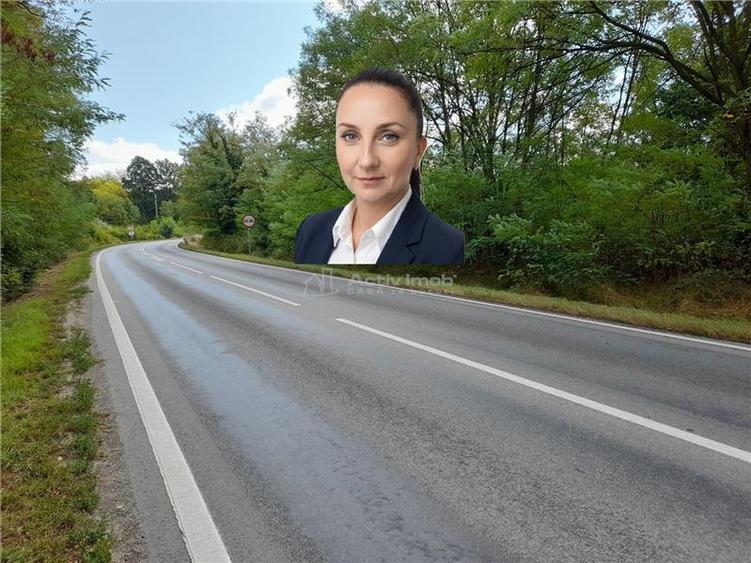 Teren Construcții intravilan de 5561 mp, în Calea Caransebeșului