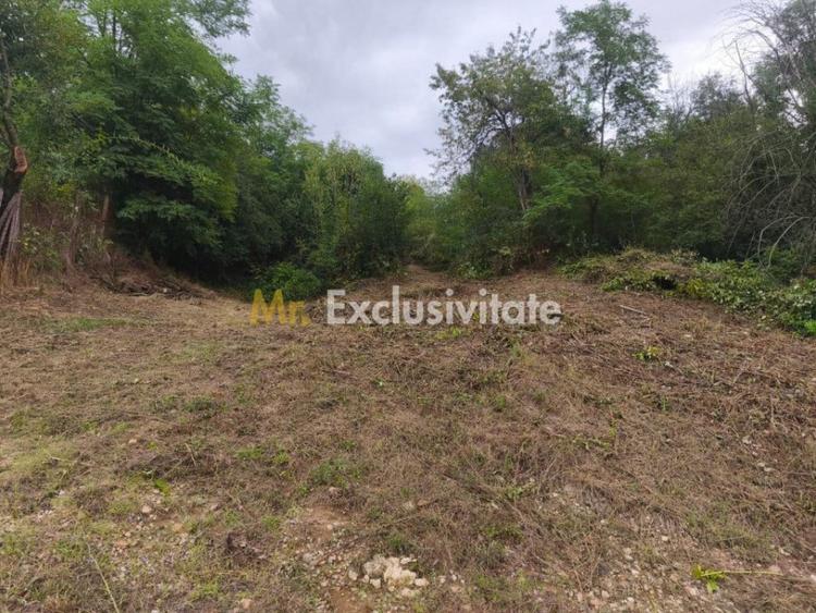 Teren 2552 mp, panorama superba Mosoaia Hintesti -Strada ... - 2