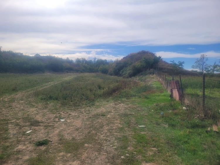 Teren agricol intravilan de 3167 mp, în Cosâmbești