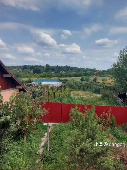 Casă cu Teren 3000 Mp în Drăguțești