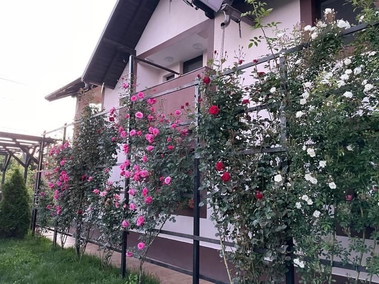 Casă cu 4 camere în Mehedința
