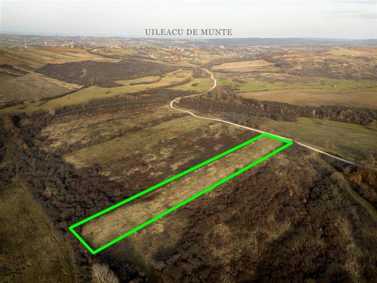 Teren Construcții intravilan de 6895 mp, în Uileacu de Munte