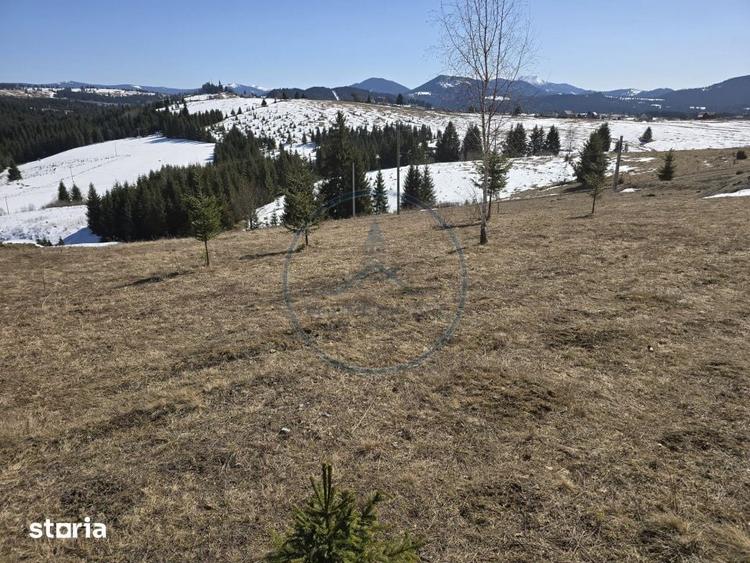 Teren de 1500 mp, în Tiha Bârgăului