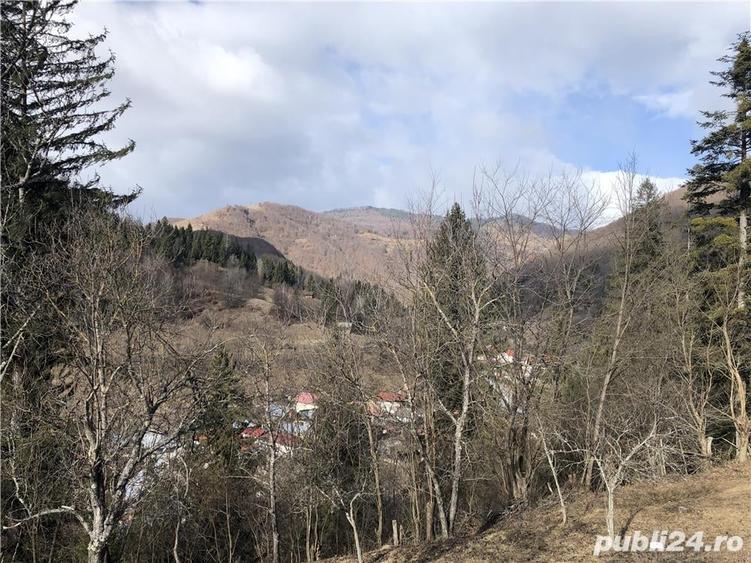 Teren de 5050 mp, în Voineasa