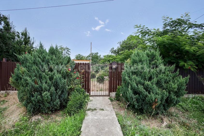 Casă cu Teren 1759 Mp în Pecineaga