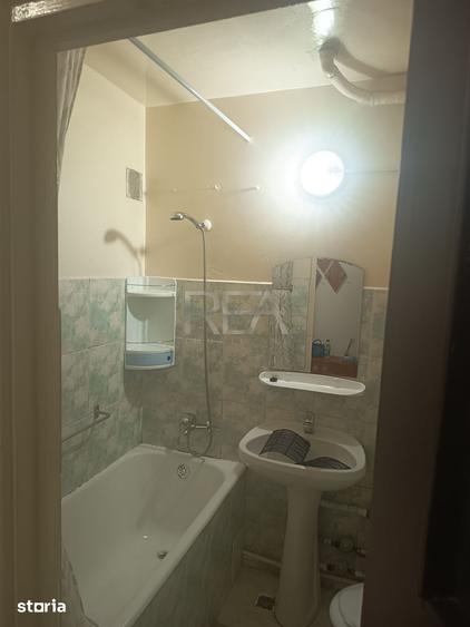 2 camere decomandat | Dristor ParkLake | Complet mobilat si utilat - 10