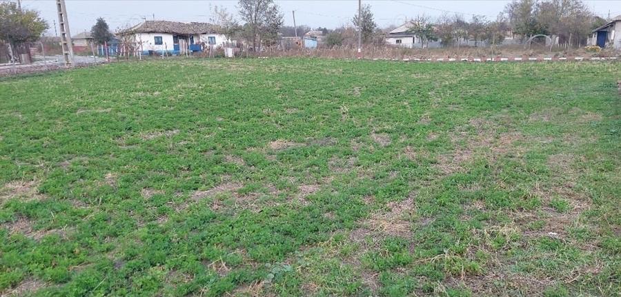 Teren de 1260 mp, în Ceamurlia de Jos