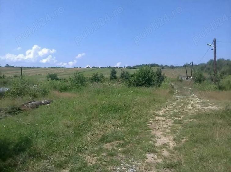 Teren de 80000 mp, în Susani