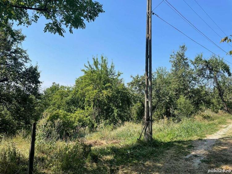 Teren de 3873 mp, în Central
