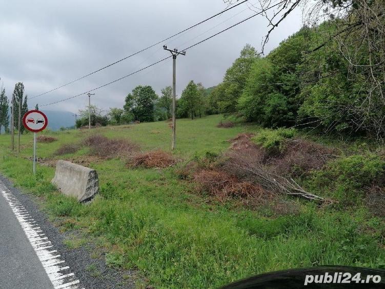 Teren de 2500 mp, în Sichevița