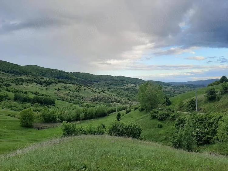 Teren de 5000 mp, în Chiojdu