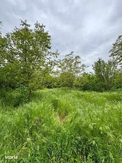 casa cu baie proprie si teren 2060mp in Perisor, zona de poveste! - 6