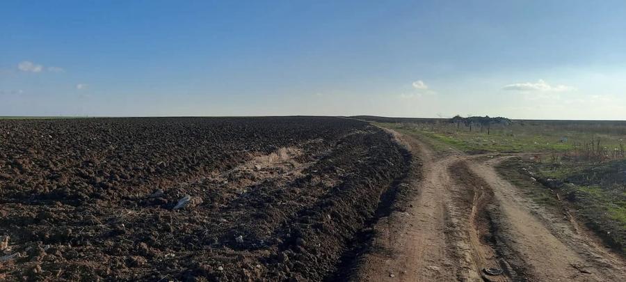 Teren extravilan de 4750 mp, în Limanu