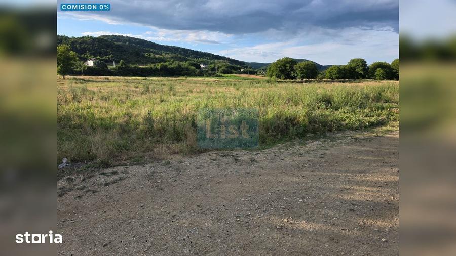 Teren de 10000 mp, în Davidești