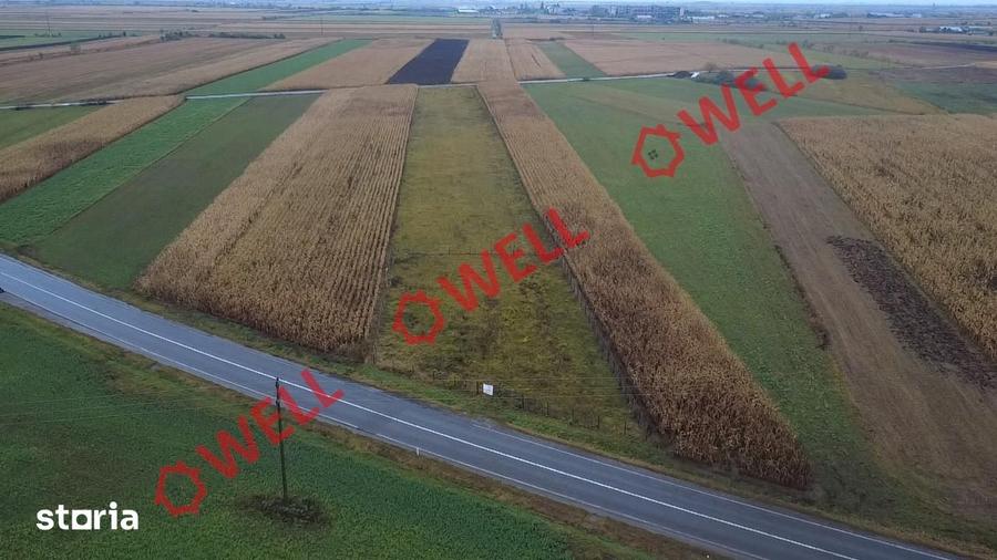 Teren extravilan de vanzare in Covasna! - 4