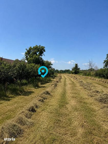 Teren de 4000 mp, în Comana