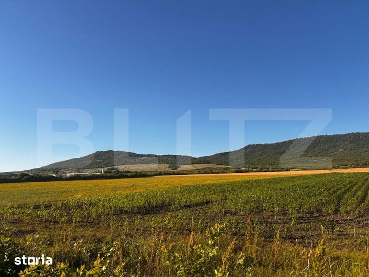 Teren de 5100 mp, în Șieu