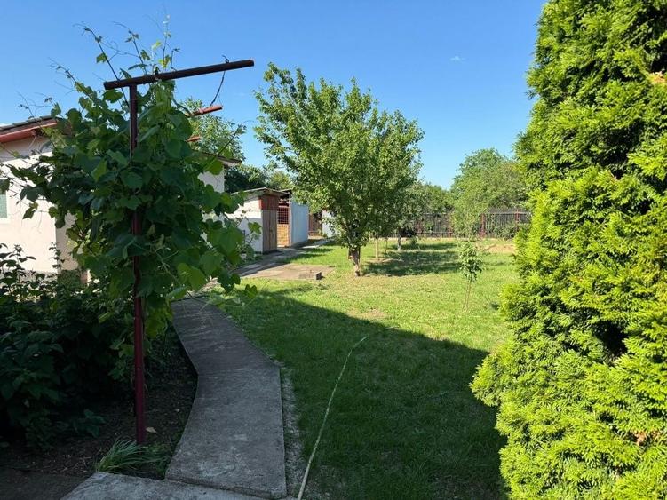 Casă cu 3 camere cu Teren 1250 Mp în Prunaru