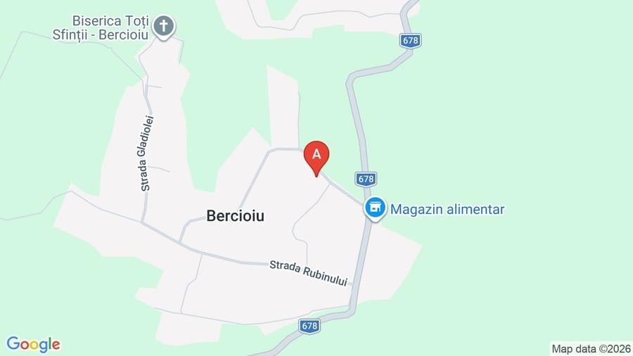 Teren Construcții intravilan de 3500 mp, în Bercioiu
