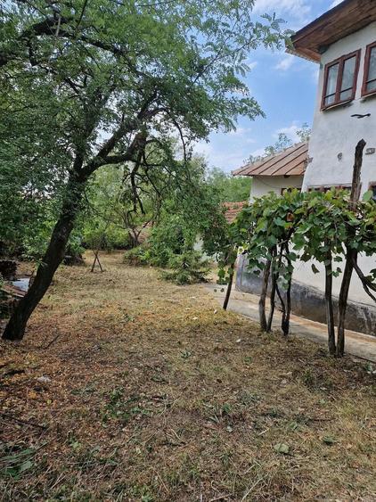 Casă cu 3 camere cu Teren 1862 Mp în Adunații Teiului