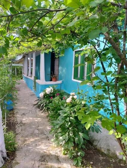 Vand casa locuibila Izvoarele - 1