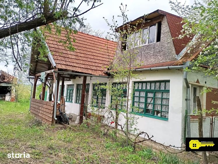 Casă cu 3 camere cu Teren 5060 Mp în Paleu