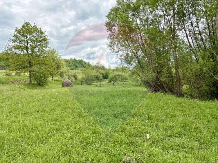 Teren agricol extravilan de 20876 mp, în Breb