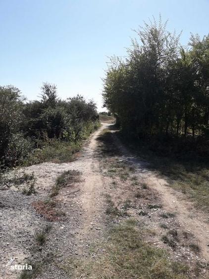 Teren de 2233 mp, în Călugăreni