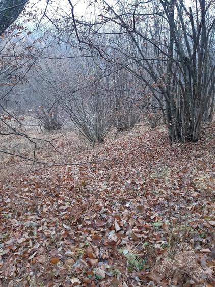 Teren de 5000 mp, în Potoci