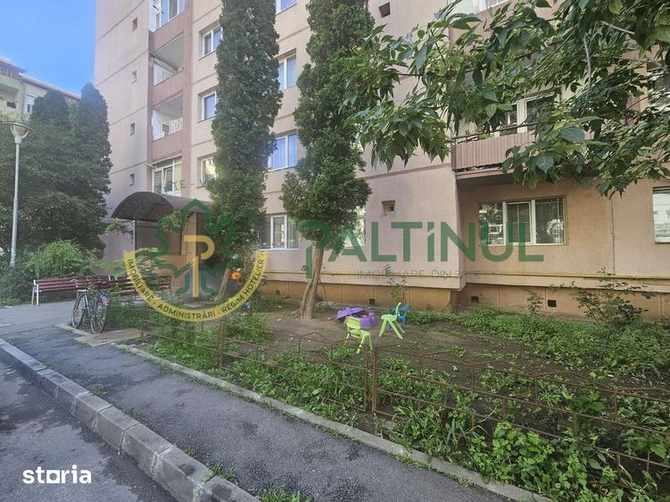 Apartament cu 3 camere decomandat în Trei Stejari