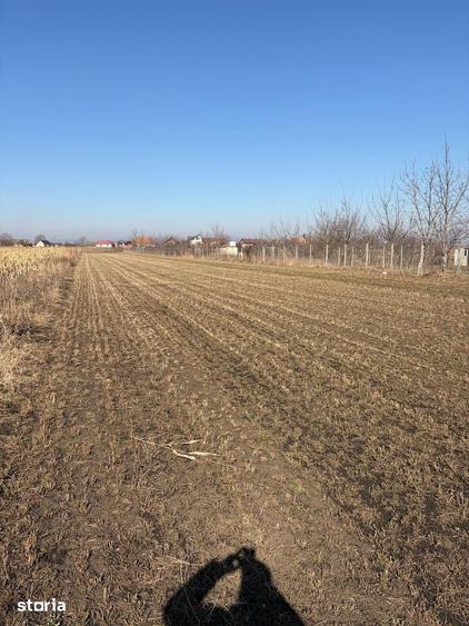 S.C. Vimak Imobiliare vinde teren intravilan Stupini - 5
