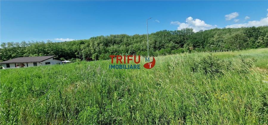 Teren Construcții intravilan de 1206 mp, în Teleac