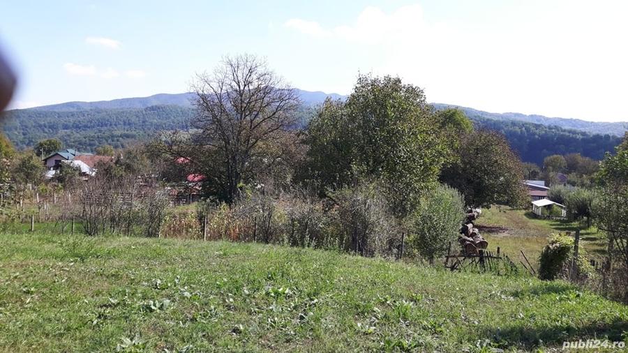 Teren de 4800 mp, în Vidra