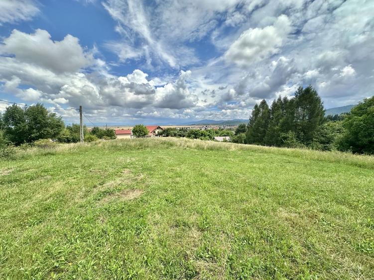 Teren Construcții intravilan de 3600 mp, în Poiana Angelescu