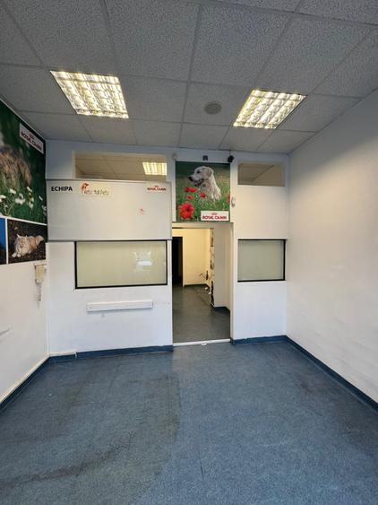 Spațiu comercial, de 52.099998474121 mp, în Costin Georgian