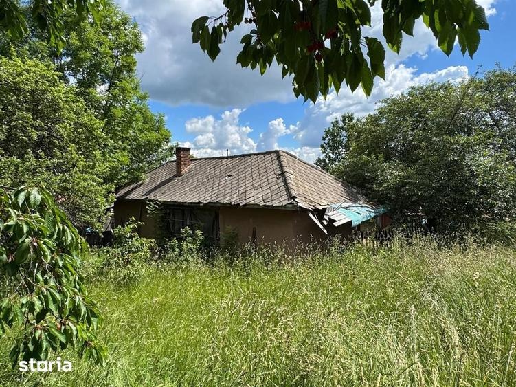 Casa de vanzare l Dangau Mare l 3135 MP Teren - 15