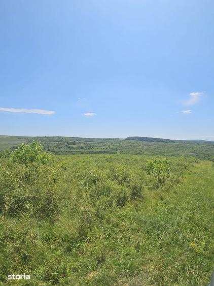 Teren de 425000 mp, în Țaga