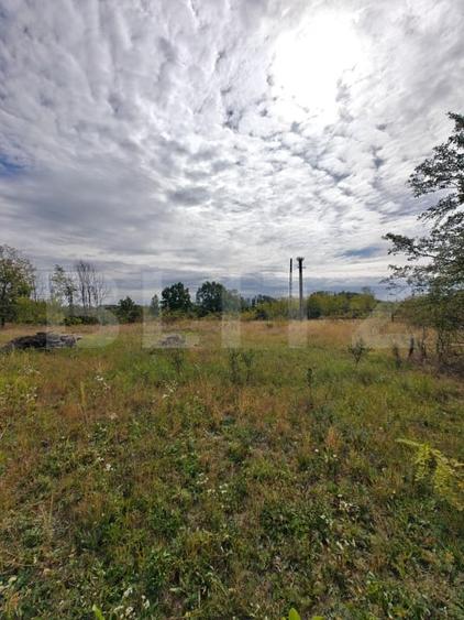 Teren Construcții intravilan de 2595 mp, în Moșoaia
