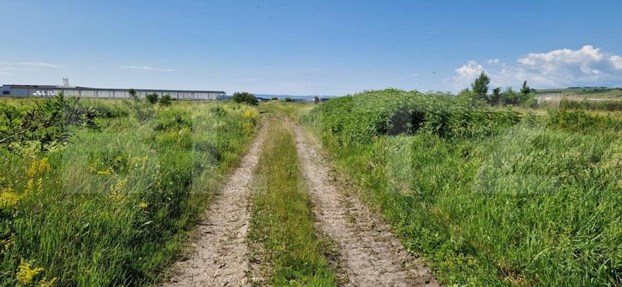 Teren Construcții intravilan de 8633 mp, în Răscruci