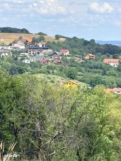 Vand 1648 mp teren intravilan cu PUZ in Cisnadioara - 6