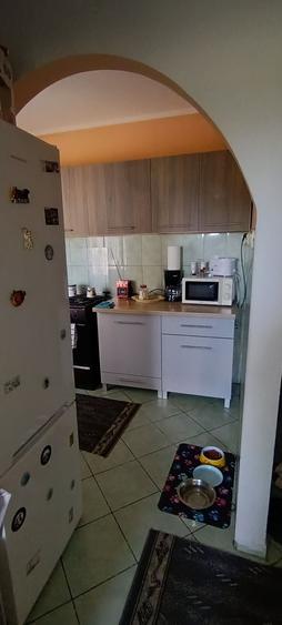 Apartament cu 2 camere decomandat în Sântandrei