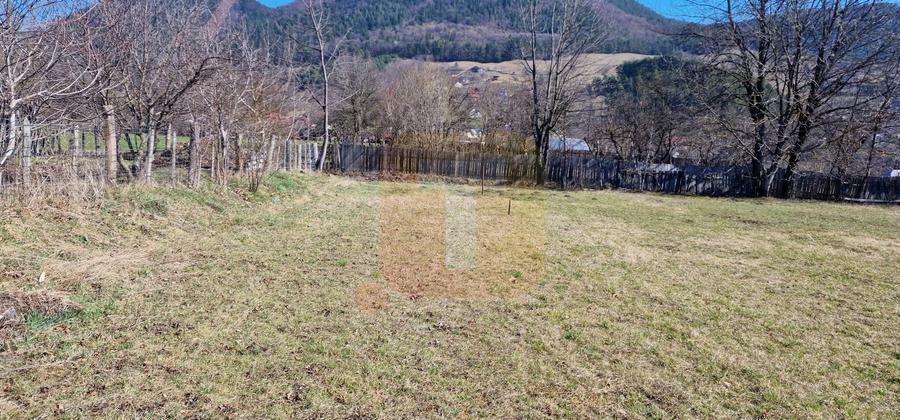 Teren Construcții intravilan de 4000 mp, în Alexandru cel Bun
