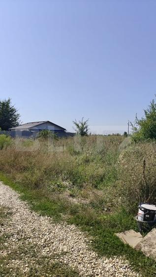 Teren Construcții intravilan de 513 mp, în Tărtășești