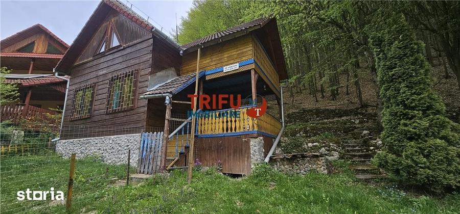 Casă cu 4 camere cu Teren 891 Mp în Ighiu